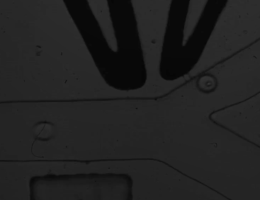 功率放大器微流控實驗結果