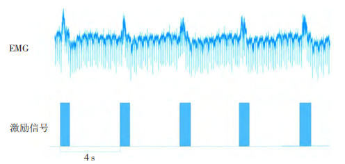小鼠EMG與TMAS激勵信號關系