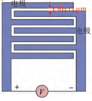 樣品叉指電極示意圖