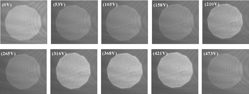ATA-2161高壓放大器