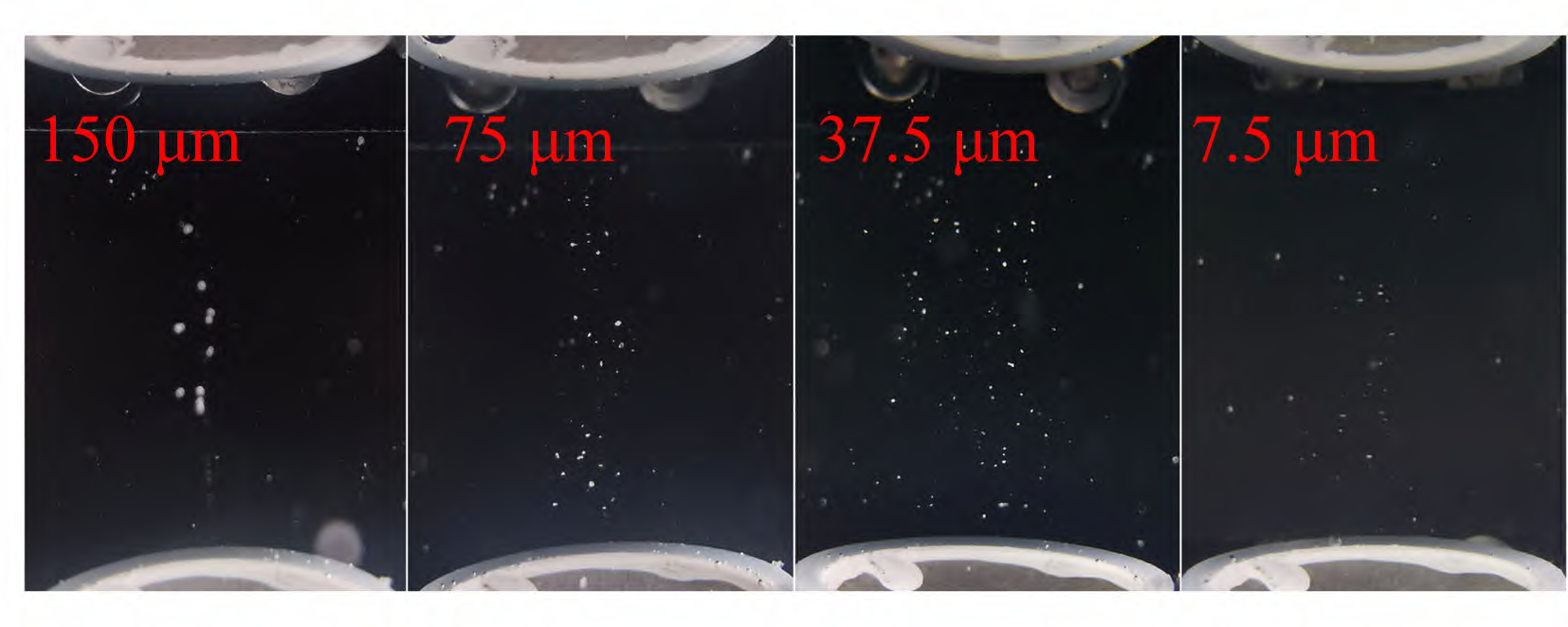 高壓功率放大器在超聲駐波場的水下顆粒操控中的應用